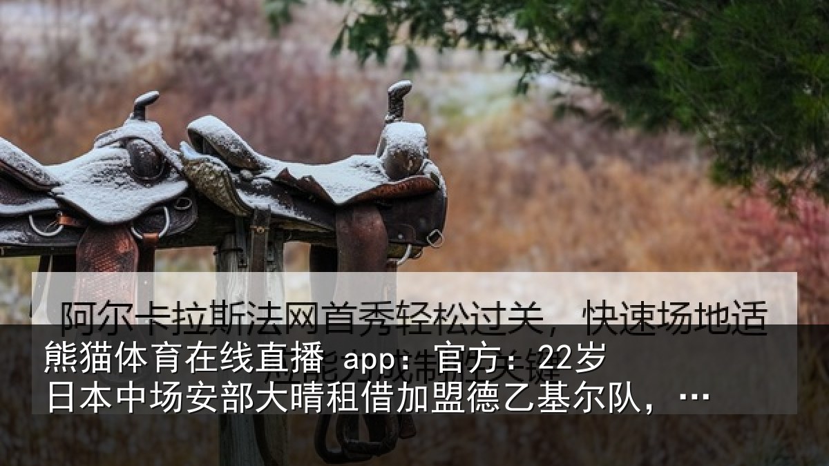 熊猫体育在线直播 app：官方相关情况晴相相关情况款